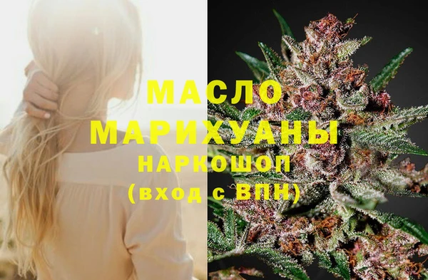 дмт Алексин